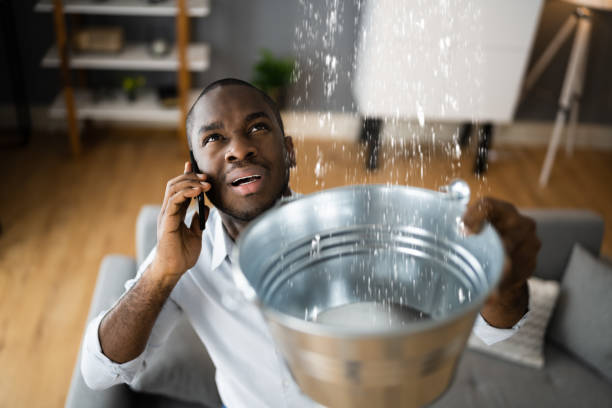 Best Local water damage restoration  in University Park, NM