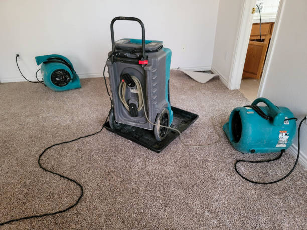 Best Ceiling water damage repair  in University Park, NM