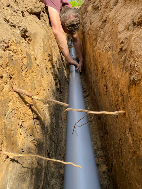 Best Flood damage cleanup  in University Park, NM