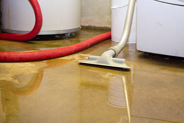 Best Sewage cleanup and water damage restoration  in University Park, NM