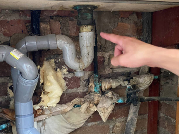 , NM Water damage restoration Company
