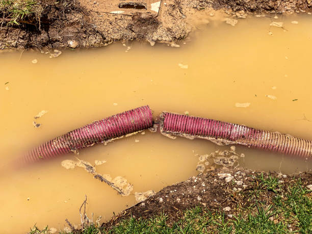 Best Basement water damage restoration  in University Park, NM