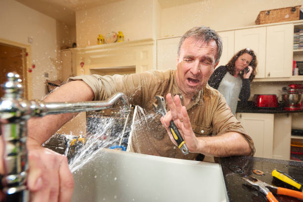 Best Professional water damage repair  in University Park, NM